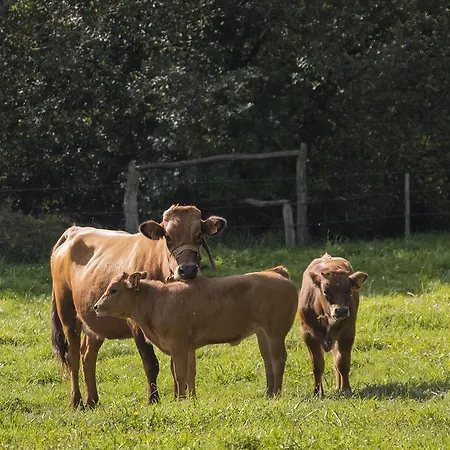 Casa Aniceto Country house *